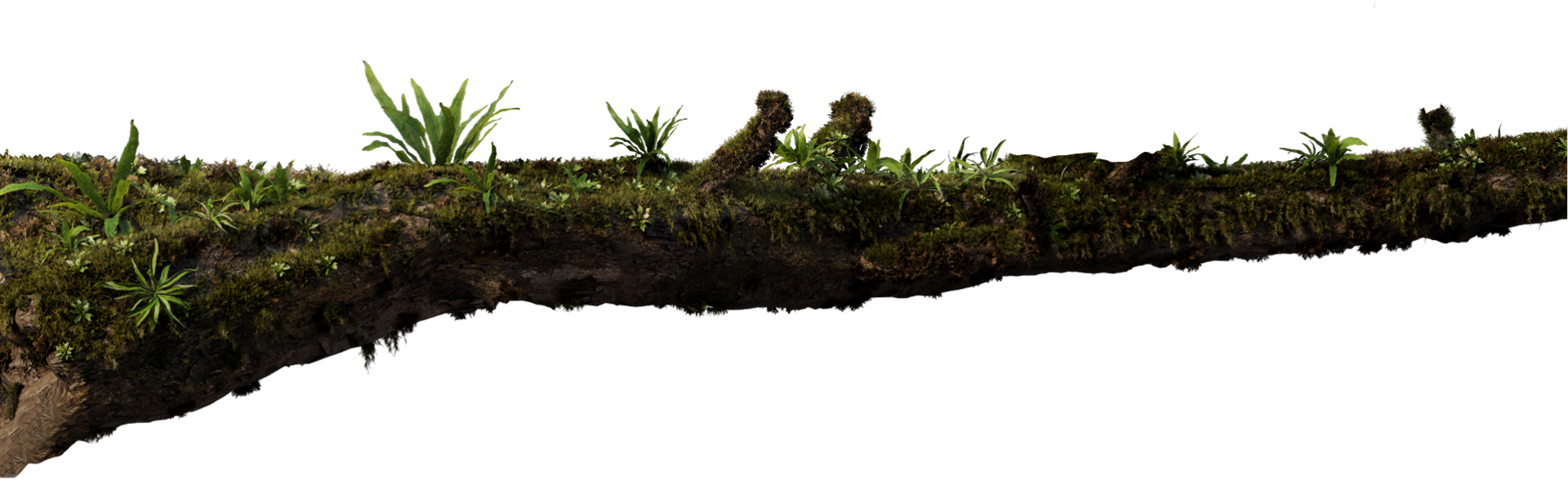 Moss-covered rock