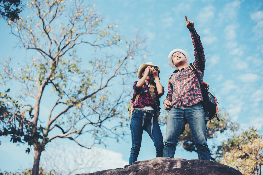 Educational Programme